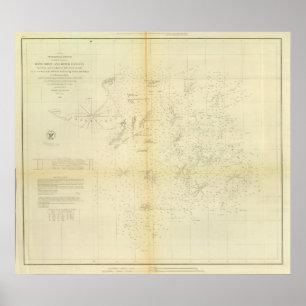 Póster Davis' Shoal