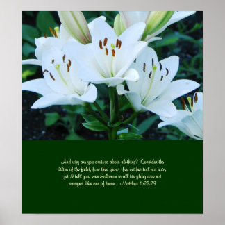 Póster Day Lily Poster