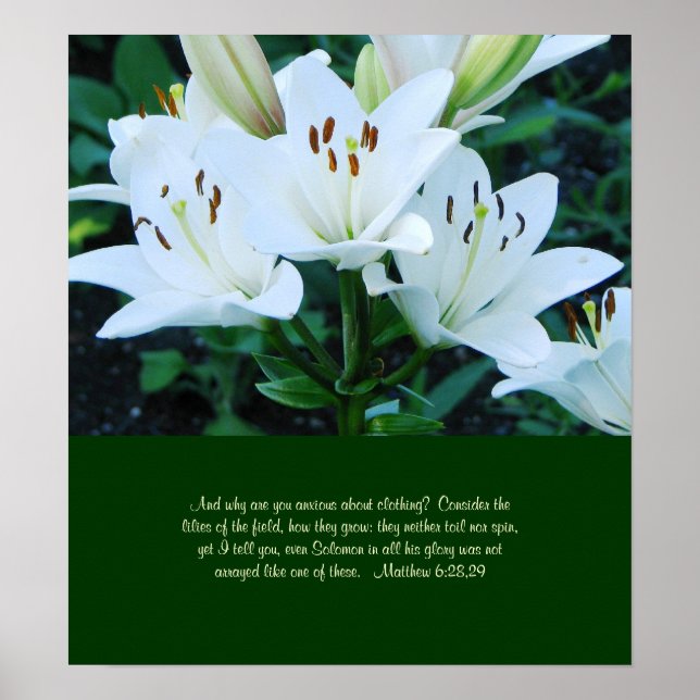 Póster Day Lily Poster (Frente)