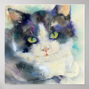 Póster Daydreamer Cat