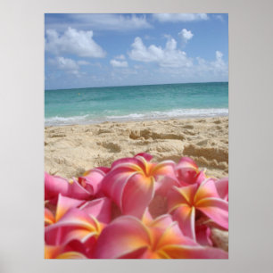 Póster Dayz hawaiano