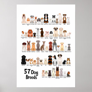 póster de 57 razas de perros