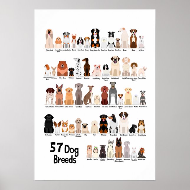 póster de 57 razas de perros (Frente)