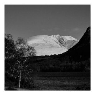Póster de abedul y Blencathra