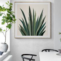 Póster de Agave del Desierto y Impresión Descargab