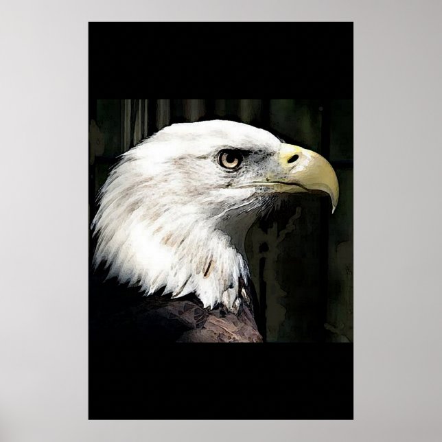 Póster de águila calva americana Impresiones de ág (Frente)