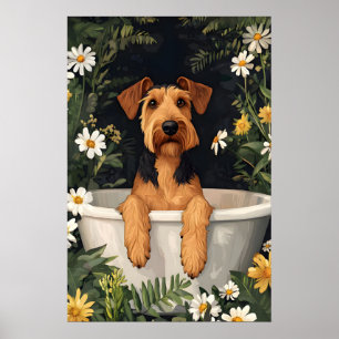 Póster de Airedale Terrier en bañera, Perro divert