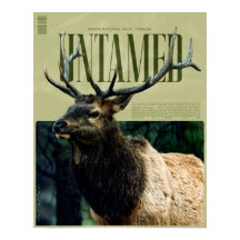 Póster de alce del Parque Nacional Banff indómito