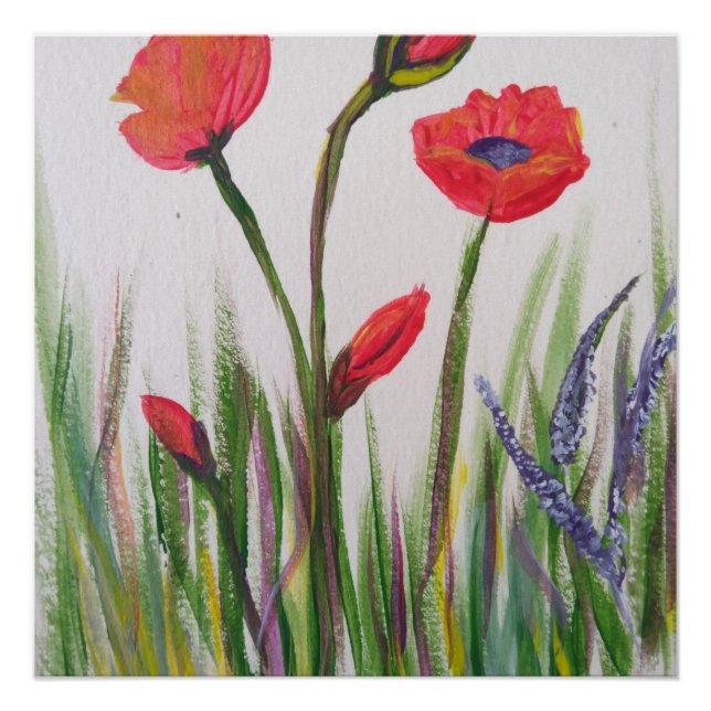 Poster de amapola silvestre (Anverso)