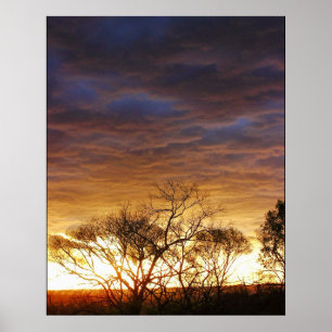 Póster de ambiente