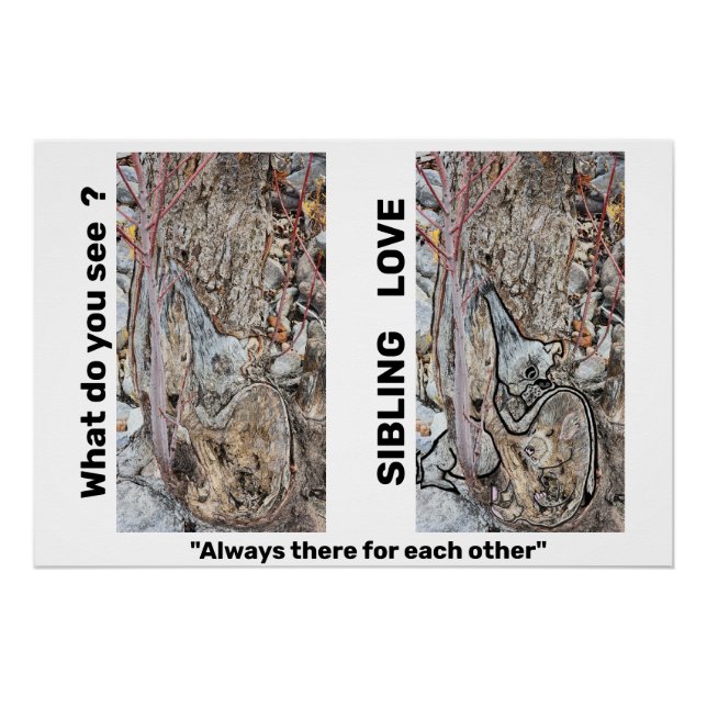 Poster de amor hermano (Anverso)