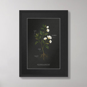 Póster de Anatomía Botánica de Dark Academia