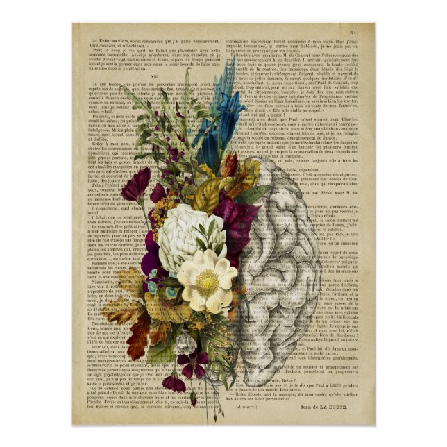 poster de anatomía cerebral floral médica (Anverso)