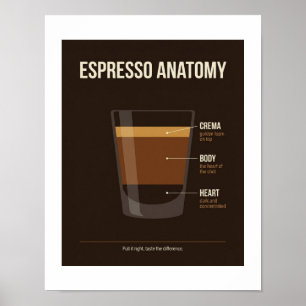 Póster de Anatomía de Espresso   Arte de Pared par
