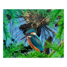 Poster de Animales de Vida Silvestre para Aves