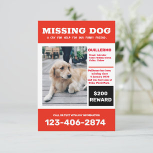 Póster de anuncio de foto de perro perdido
