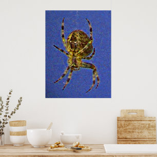 Póster de araña orbicular