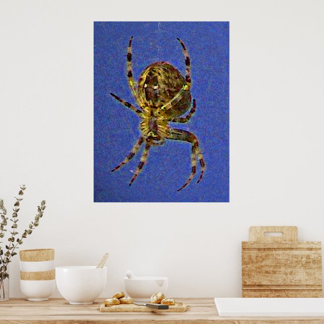 Póster de araña orbicular (Cocina)