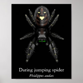 Póster de araña saltadora audaz (semi brillo)