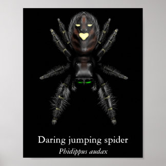 Póster de araña saltadora audaz (semi brillo)