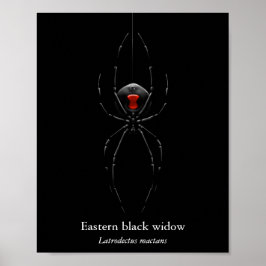 Póster de Araña Viuda Negra (Semi-Gloss)