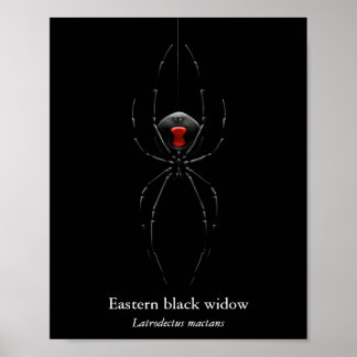 Póster de Araña Viuda Negra (Semi-Gloss)