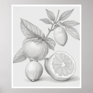 Poster de árbol cítrico de arte mural
