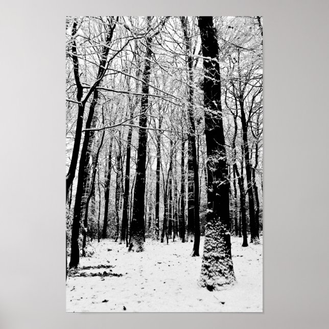 Póster de árboles en blanco y negro en invierno  (Frente)