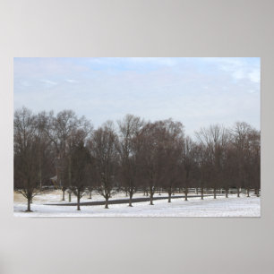 Póster de árboles en la nieve