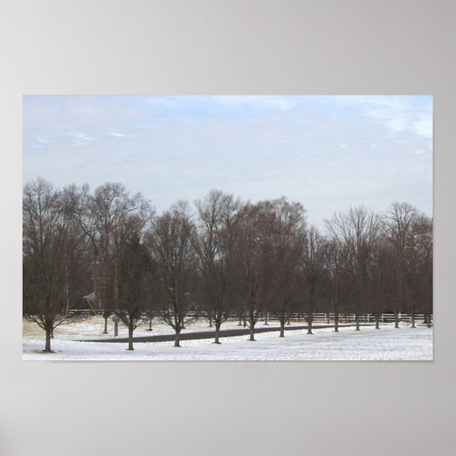 Póster de árboles en la nieve (Frente)