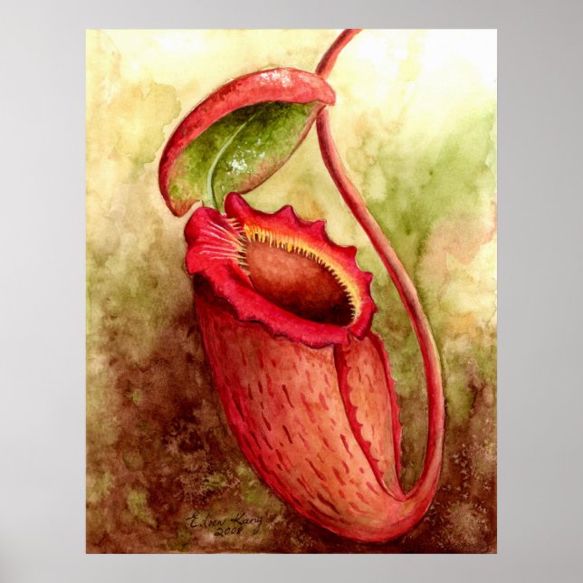 Poster de arte acuático de Rajah (Frente)