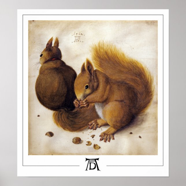 Poster de arte Albrecht Dürer Zedign #56 (Frente)