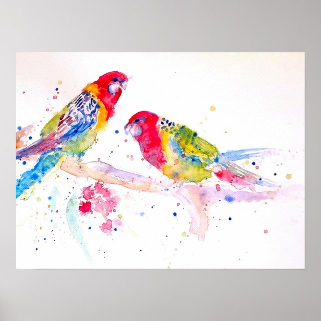 Poster de arte australiano Rosella Parrot Watercol (Frente)