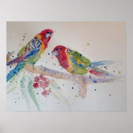 Poster de arte australiano Rosella Parrot Watercol