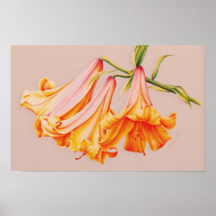 Póster de arte botánico de "Lirios" de bellas arte