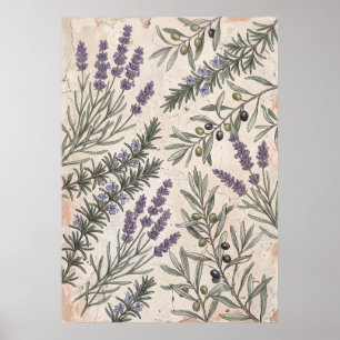Póster de Arte Botánico de Olivo Lavanda