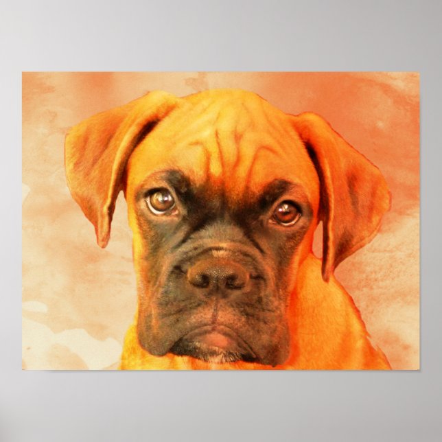 Poster de arte Boxer Dog (Frente)