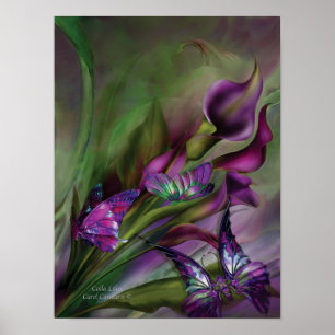 Poster de arte Calla Lilies/Print