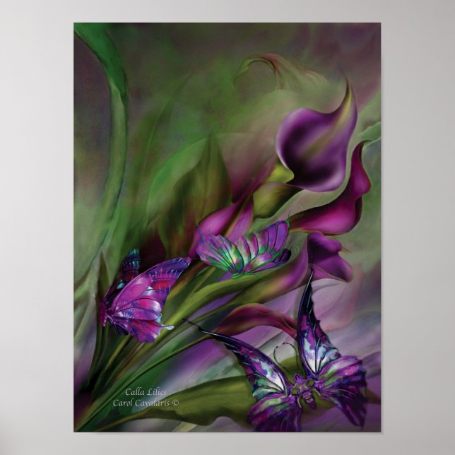 Poster de arte Calla Lilies/Print (Frente)