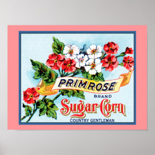 Poster de arte con etiqueta de cromatografía vinta