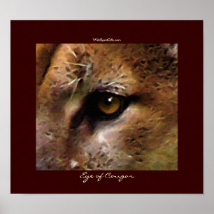 POSTER de arte COUGAR EYE