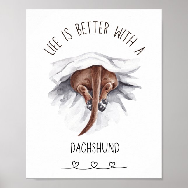 Poster de arte Dachshund Wall (Frente)