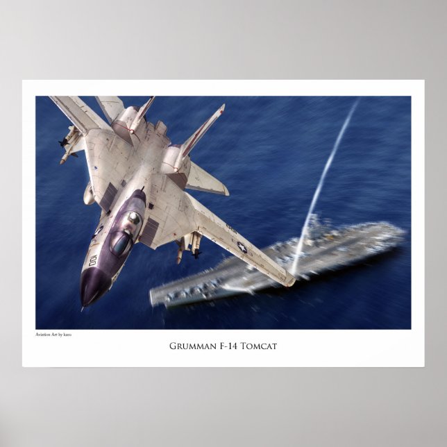 Poster de arte de aviación "F-14 Tomcat" (Frente)