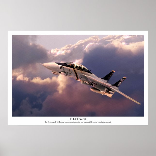 Poster de arte de aviación "F-14 Tomcat" (Frente)