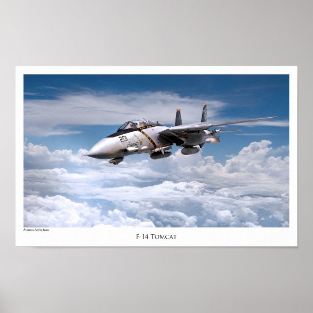 Poster de arte de aviación "F-14 Tomcat" (Frente)