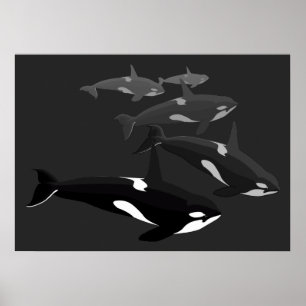 Poster de arte de ballenas Orca Canvas impresas de