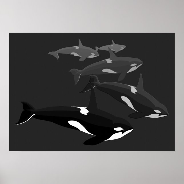 Poster de arte de ballenas Orca Canvas impresas de (Frente)