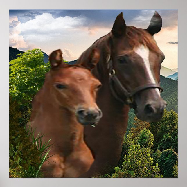 Póster de arte de caballo (Frente)