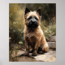 Poster de arte de Cairn Terrier Dog