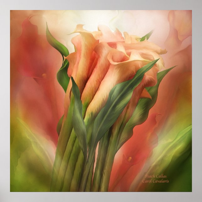 Poster de arte de Callas de Peach/Print (Frente)